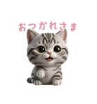 【日本語】 アメリカンショートヘア 2（個別スタンプ：1）