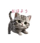 【日本語】 アメリカンショートヘア 2（個別スタンプ：2）