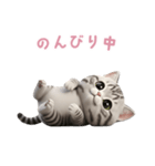 【日本語】 アメリカンショートヘア 2（個別スタンプ：5）
