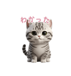 【日本語】 アメリカンショートヘア 2（個別スタンプ：7）