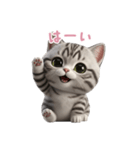 【日本語】 アメリカンショートヘア 2（個別スタンプ：12）