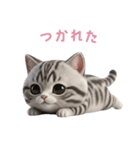 【日本語】 アメリカンショートヘア 2（個別スタンプ：13）