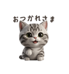 【日本語】 アメリカンショートヘア 1（個別スタンプ：1）