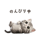 【日本語】 アメリカンショートヘア 1（個別スタンプ：5）