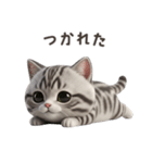 【日本語】 アメリカンショートヘア 1（個別スタンプ：13）
