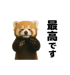 動く！レッサーパンダ（表情）（個別スタンプ：2）