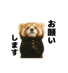 動く！レッサーパンダ（表情）（個別スタンプ：3）
