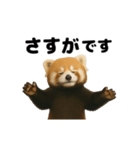 動く！レッサーパンダ（表情）（個別スタンプ：4）