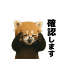 動く！レッサーパンダ（表情）（個別スタンプ：5）