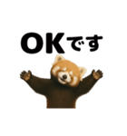 動く！レッサーパンダ（表情）（個別スタンプ：10）