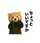 動く！レッサーパンダ（表情）（個別スタンプ：21）