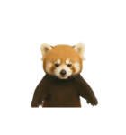 動く！レッサーパンダ（表情）（個別スタンプ：24）