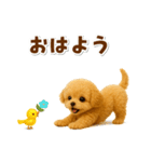 毎日使える【挨拶★返事】トイプードル（個別スタンプ：1）
