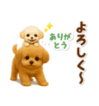 毎日使える【挨拶★返事】トイプードル（個別スタンプ：15）