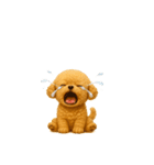 毎日使える【挨拶★返事】トイプードル（個別スタンプ：37）