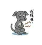 たまに二足歩行になるイタグレ part2（個別スタンプ：29）