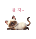 【韓国語】 シャム猫スタンプ 2（個別スタンプ：11）