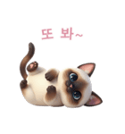 【韓国語】 シャム猫スタンプ 2（個別スタンプ：16）