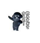 飛び出す！今コレ界隈ビションフリーゼ（個別スタンプ：14）