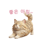 【韓国語】 サイベリアン スタンプ 2（個別スタンプ：2）