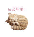 【韓国語】 サイベリアン スタンプ 2（個別スタンプ：5）