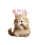 【韓国語】 サイベリアン スタンプ 2（個別スタンプ：6）