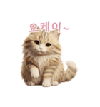 【韓国語】 サイベリアン スタンプ 2（個別スタンプ：8）