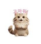 【韓国語】 サイベリアン スタンプ 2（個別スタンプ：10）