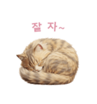 【韓国語】 サイベリアン スタンプ 2（個別スタンプ：11）