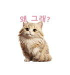 【韓国語】 サイベリアン スタンプ 2（個別スタンプ：15）