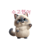 【韓国語】 ラグドール スタンプ 2（個別スタンプ：1）