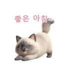 【韓国語】 ラグドール スタンプ 2（個別スタンプ：2）