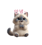 【韓国語】 ラグドール スタンプ 2（個別スタンプ：4）