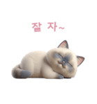 【韓国語】 ラグドール スタンプ 2（個別スタンプ：11）