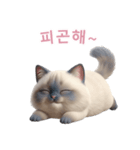 【韓国語】 ラグドール スタンプ 2（個別スタンプ：13）