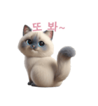 【韓国語】 ラグドール スタンプ 2（個別スタンプ：16）
