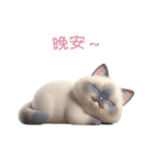 【繁體字】 ラグドール スタンプ 2（個別スタンプ：11）