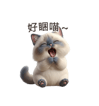 【繁體字】 ラグドール スタンプ 1（個別スタンプ：6）