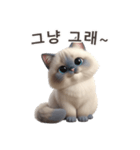 【韓国語】 ラグドール スタンプ 1（個別スタンプ：3）