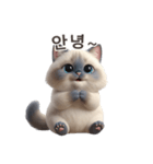 【韓国語】 ラグドール スタンプ 1（個別スタンプ：4）