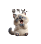 【韓国語】 ラグドール スタンプ 1（個別スタンプ：6）