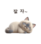 【韓国語】 ラグドール スタンプ 1（個別スタンプ：11）