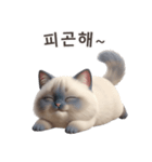 【韓国語】 ラグドール スタンプ 1（個別スタンプ：13）