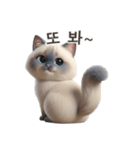 【韓国語】 ラグドール スタンプ 1（個別スタンプ：16）