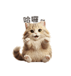 【繁體字】 サイベリアン スタンプ 1（個別スタンプ：4）