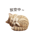 【繁體字】 サイベリアン スタンプ 1（個別スタンプ：5）