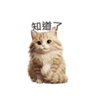 【繁體字】 サイベリアン スタンプ 1（個別スタンプ：7）