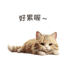 【繁體字】 サイベリアン スタンプ 1（個別スタンプ：13）