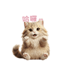 【繁體字】 サイベリアン スタンプ 2（個別スタンプ：4）