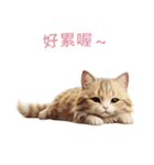 【繁體字】 サイベリアン スタンプ 2（個別スタンプ：13）